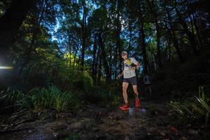 BIB: 
                            <button type="button" onclick="openModal(19233773)" class="btn btn-primary btn-sm float-right btn-popup" data-toggle="modal" data-target=".modal-high-quality">
                        <i class="fas fa-shopping-cart"></i> Add to Cart
                    </button>
                                            <button type="button" onclick="isThisMe(19233773, true)" class="btn btn-success btn-sm float-right btn-popup btn-isme hidden" data-toggle="tooltip" data-placement="bottom" title="นี่คือรูปของคุณใช่ไหม คลิกที่นี่เพื่อเอาเข้าอัลบั้ม">
                        <i class="fas fa-plus"></i> Add to album
                    </button>
                    <button type="button" onclick="isThisMe(19233773, false)" class="btn btn-warning btn-sm float-right btn-popup btn-isnotme hidden">
                        <i class="fas fa-ban"></i> Remove from album
                    </button>